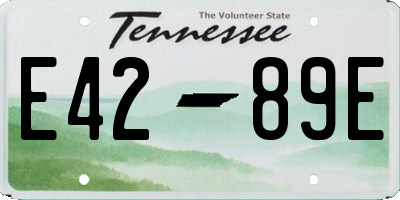 TN license plate E4289E