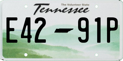 TN license plate E4291P
