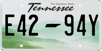 TN license plate E4294Y
