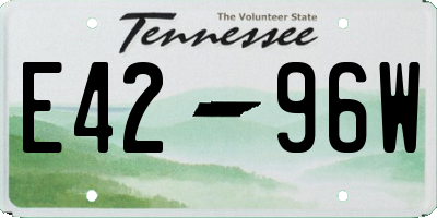 TN license plate E4296W
