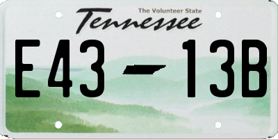 TN license plate E4313B