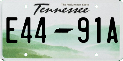 TN license plate E4491A
