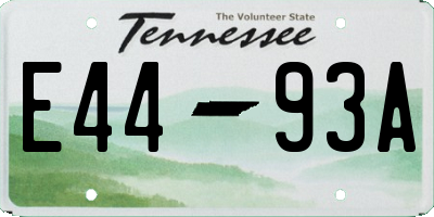 TN license plate E4493A