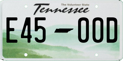 TN license plate E4500D