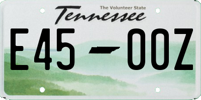 TN license plate E4500Z