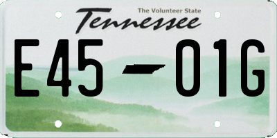 TN license plate E4501G