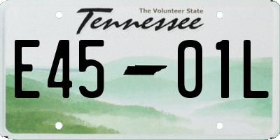 TN license plate E4501L