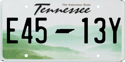 TN license plate E4513Y