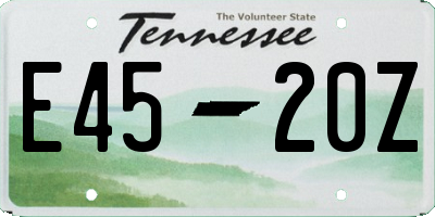 TN license plate E4520Z