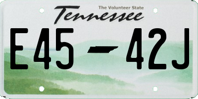 TN license plate E4542J