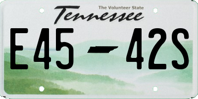 TN license plate E4542S