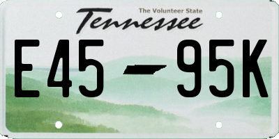 TN license plate E4595K