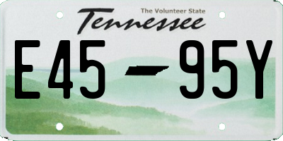 TN license plate E4595Y