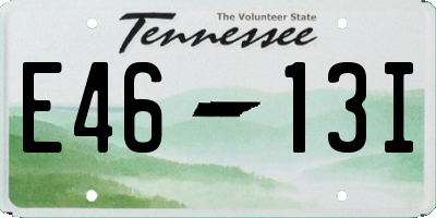 TN license plate E4613I