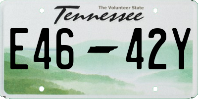 TN license plate E4642Y