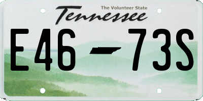 TN license plate E4673S