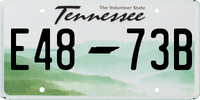 TN license plate E4873B