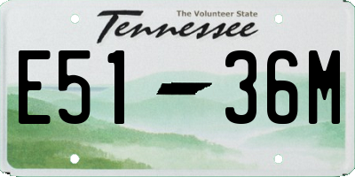 TN license plate E5136M