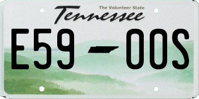 TN license plate E5900S