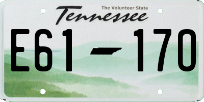 TN license plate E6117O