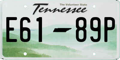 TN license plate E6189P