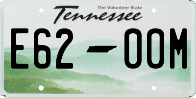TN license plate E6200M