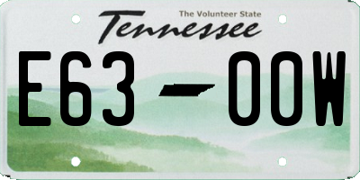 TN license plate E6300W