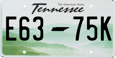 TN license plate E6375K