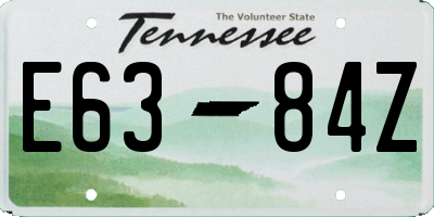 TN license plate E6384Z