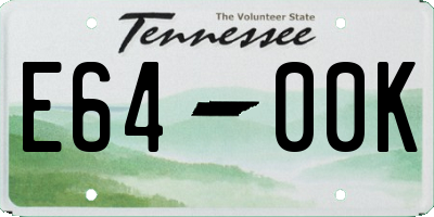 TN license plate E6400K