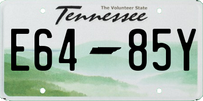 TN license plate E6485Y