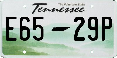TN license plate E6529P