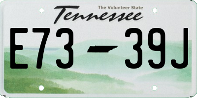 TN license plate E7339J