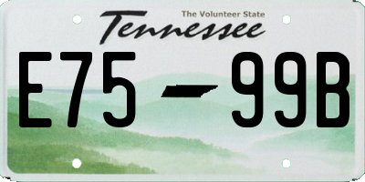 TN license plate E7599B
