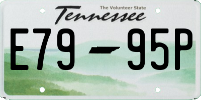 TN license plate E7995P