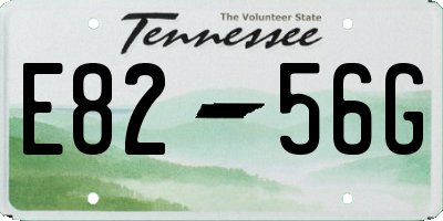 TN license plate E8256G