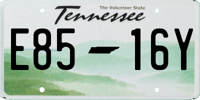 TN license plate E8516Y