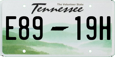 TN license plate E8919H