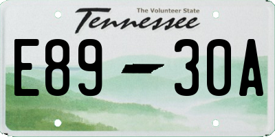 TN license plate E8930A