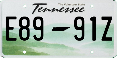 TN license plate E8991Z