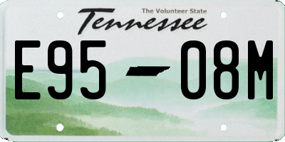 TN license plate E9508M