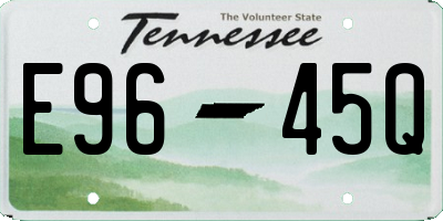 TN license plate E9645Q