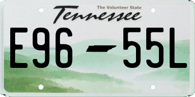 TN license plate E9655L