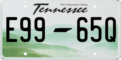 TN license plate E9965Q