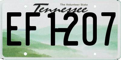 TN license plate EF1207