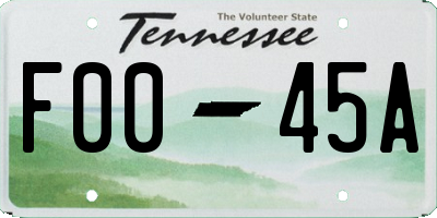 TN license plate F0045A