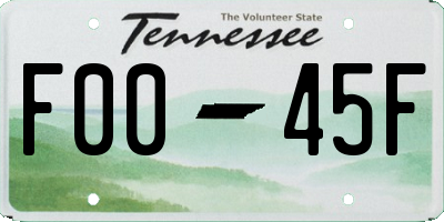 TN license plate F0045F