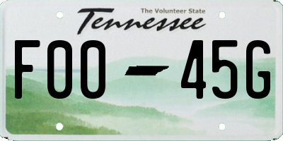 TN license plate F0045G