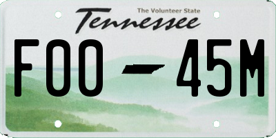TN license plate F0045M