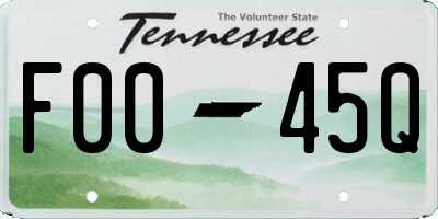 TN license plate F0045Q
